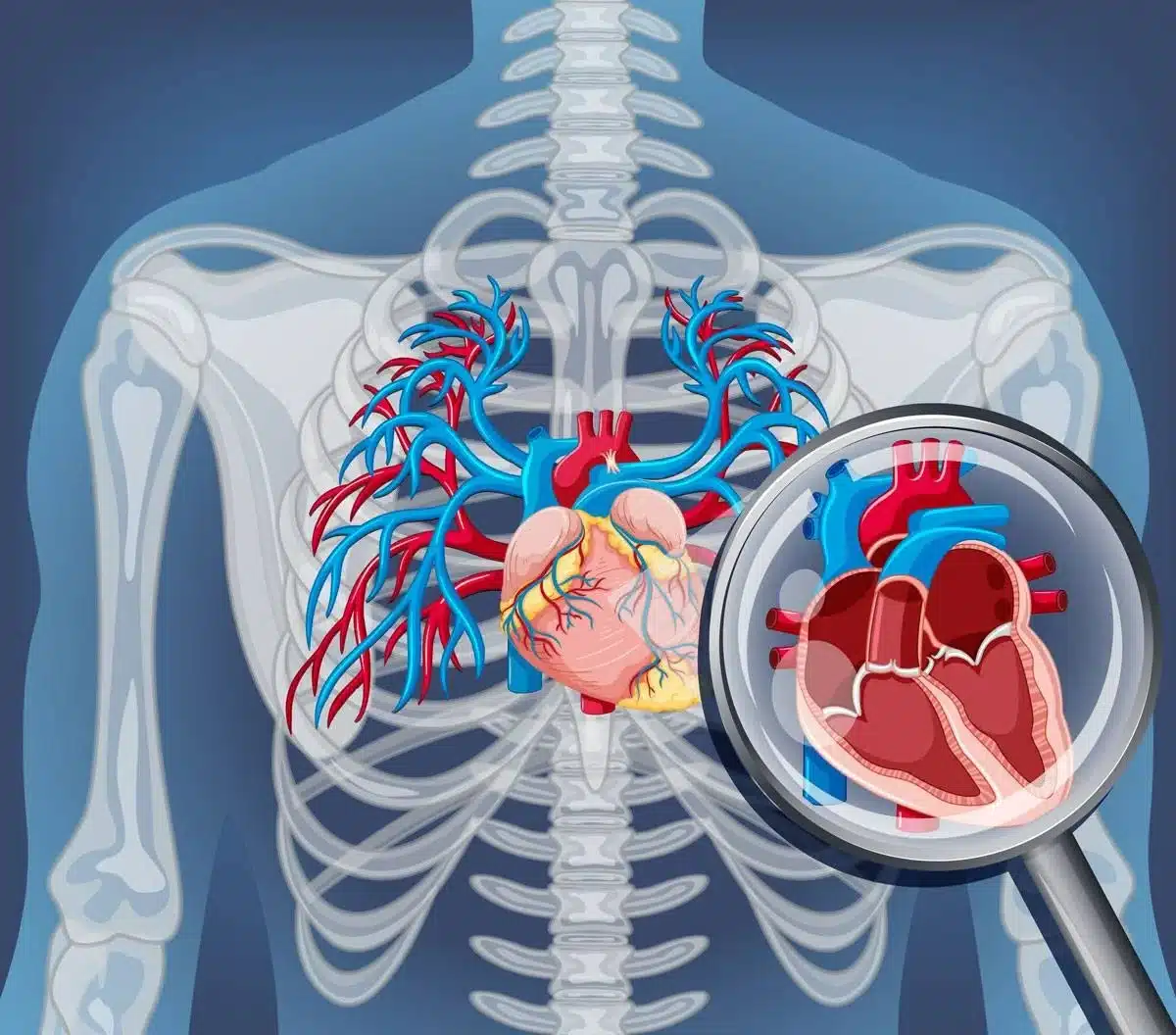 Understanding the Bidirectional Link Exploring Cardiorenal Syndrome